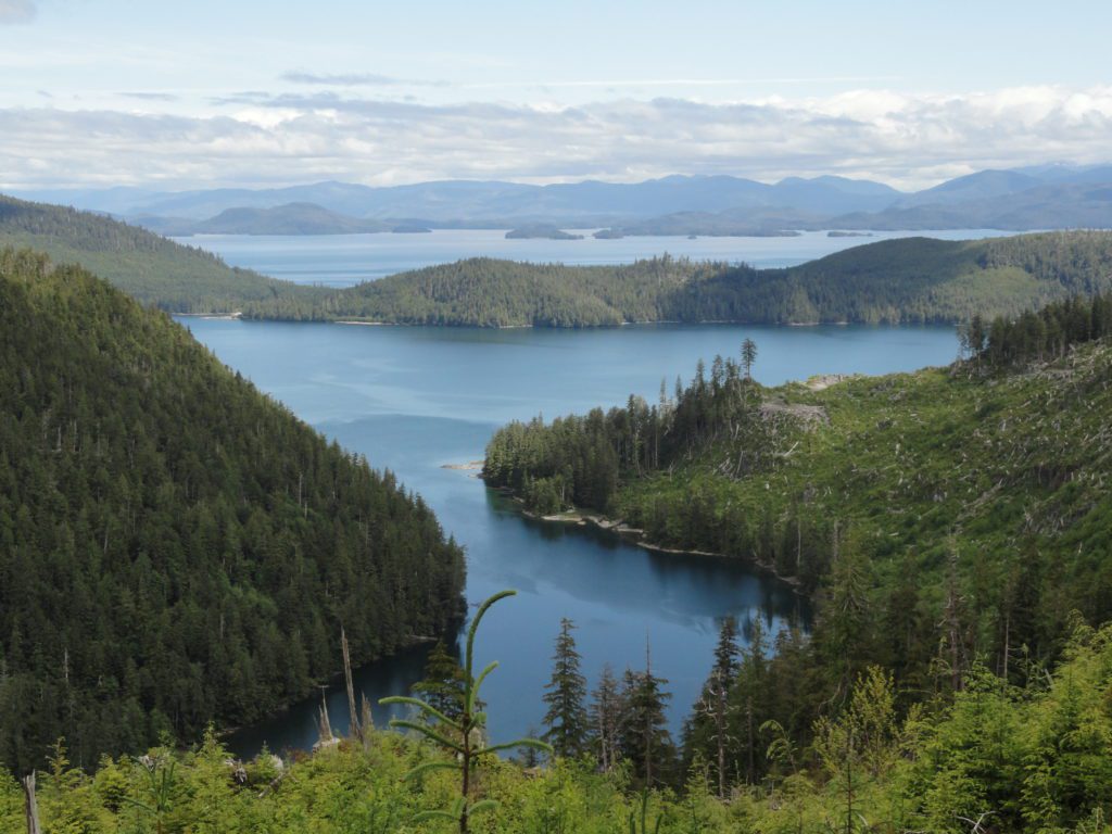 Sealaska (Alaska), a forest carbon offset project developed by Finite Carbon